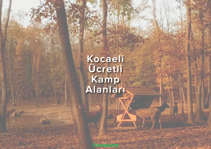 Kocaeli paid campsites