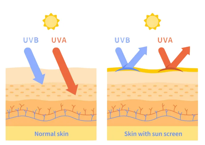 uva-uvb-rays