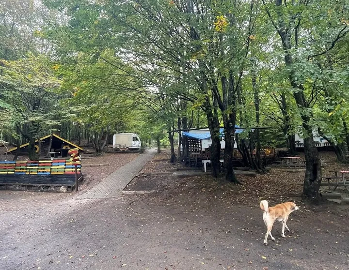 Ayvaz Camping
