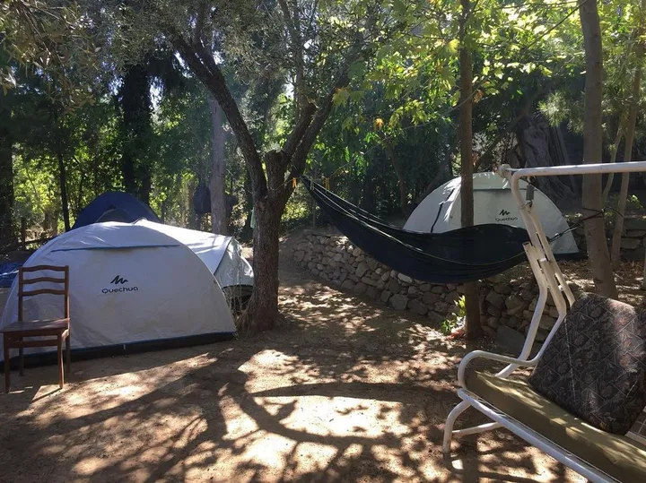 Çakır Kamp ve Piknik Alanı