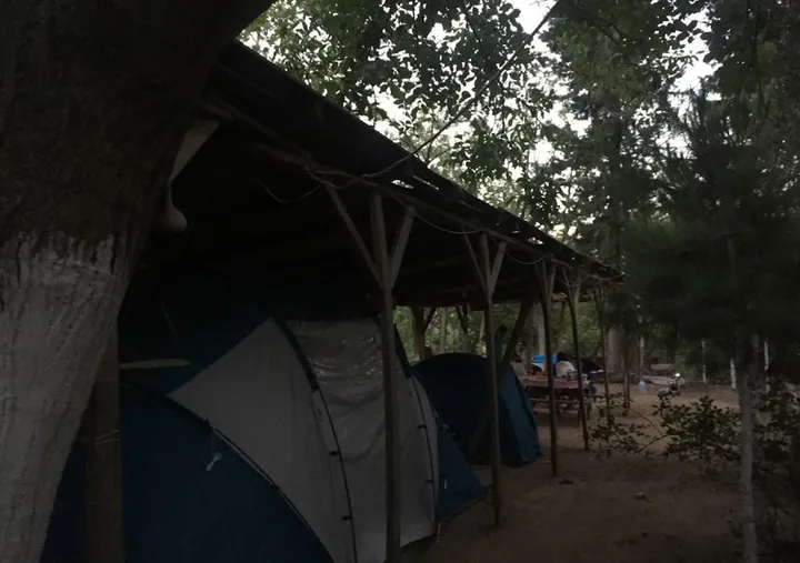 Çakır Kamp ve Piknik Alanı