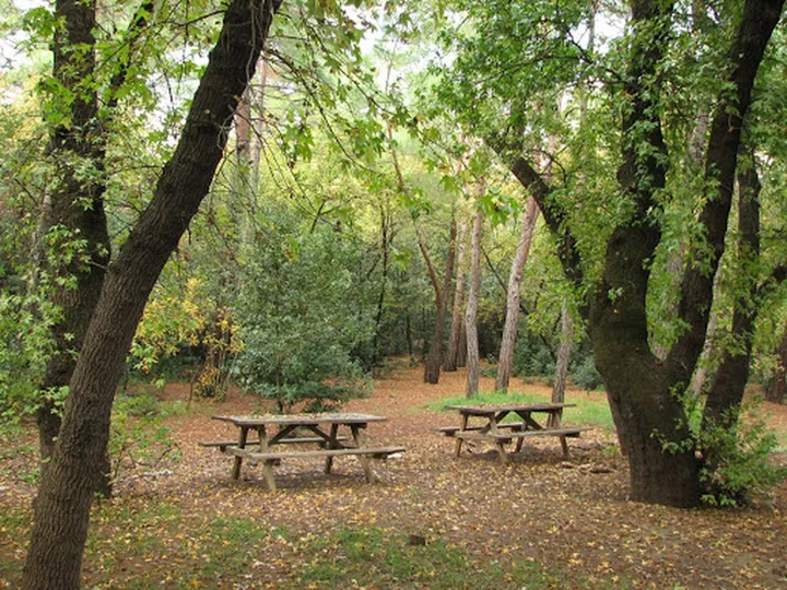 cetibeli-forest-campground