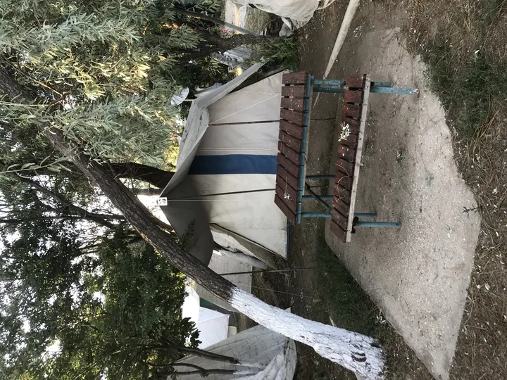 Çamlık Kamp 