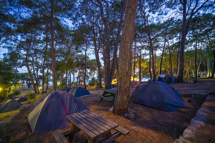 incekum-forest-camp