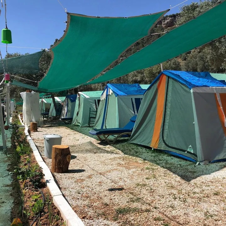 Koza Camping