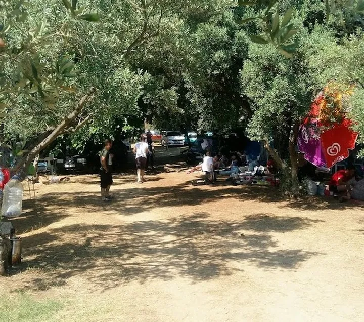 Küçübük İpek Kamp ve Piknik Alanı