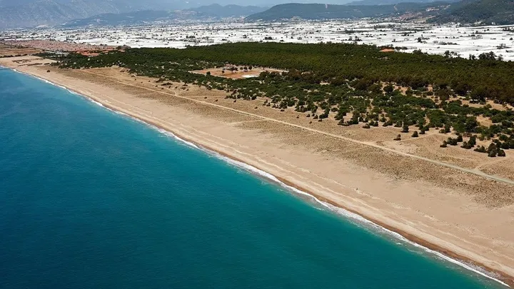 Mavikent Plajı Kamp Alanı