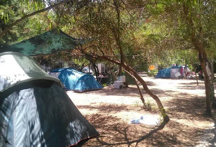 Özil Camping