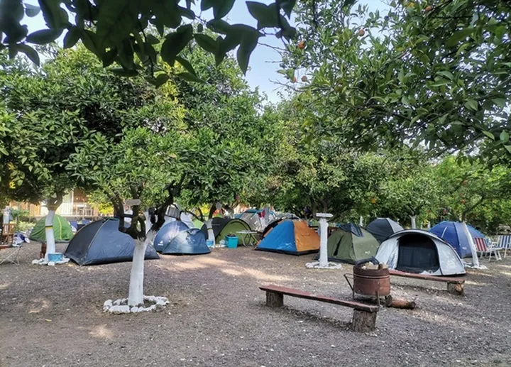 Portakal Camping