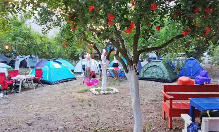 Portakal Camping