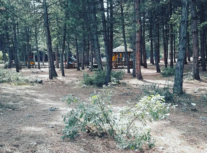 Safranbolu Kent Ormanı Kamp Alanı