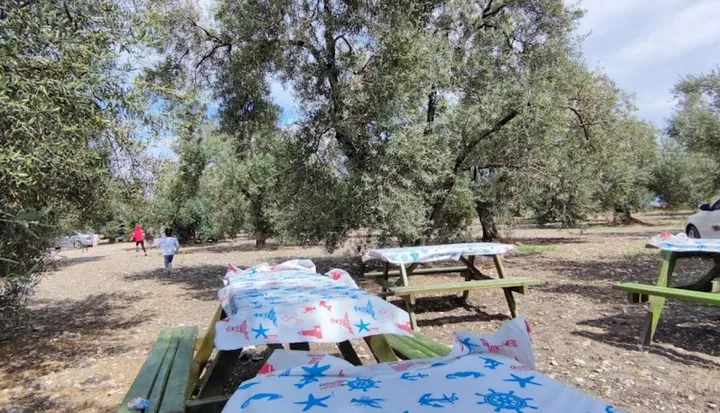 Şamlıgöl Kamp ve Piknik Alanı