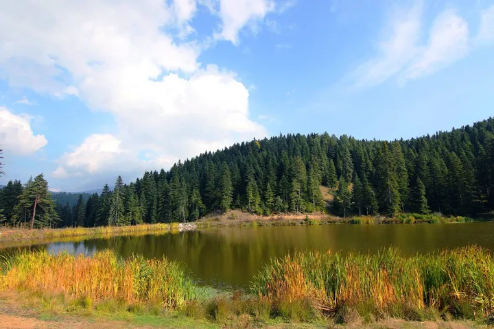 saricicek-plateau-and-pond-campground