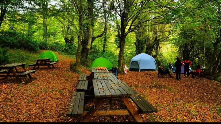 tasgolu-natural-life-and-camping-area