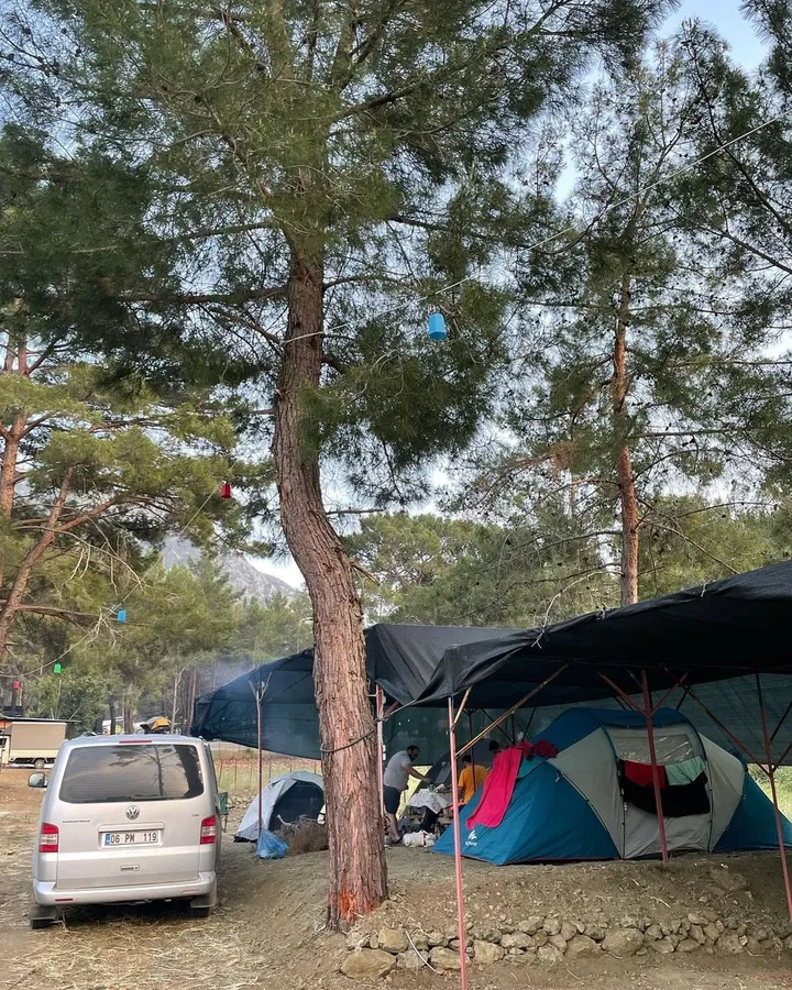 The King of Likya Camping
