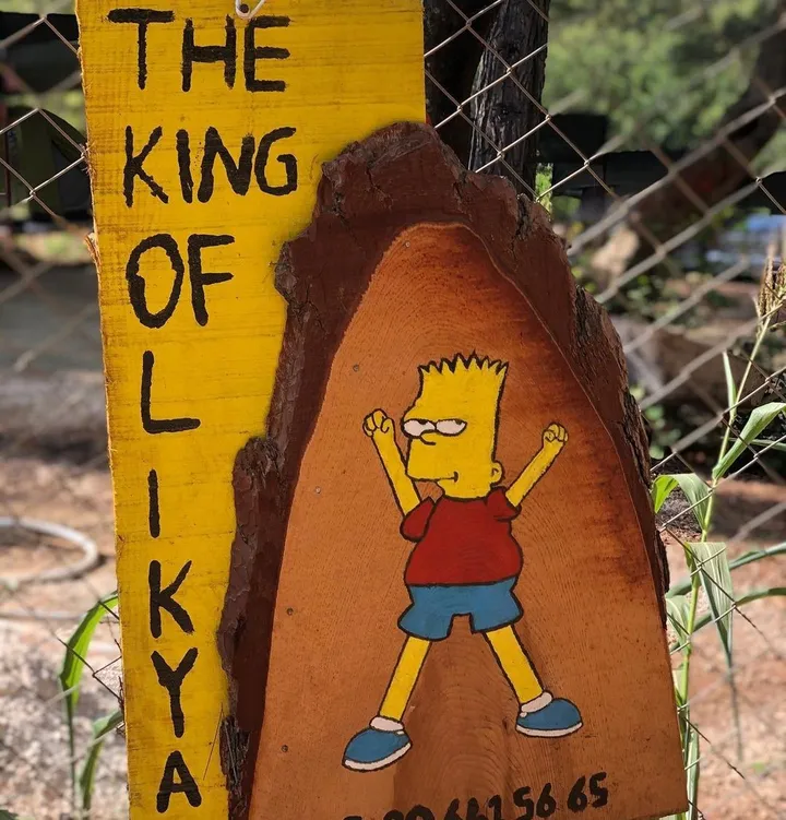 The King of Likya Camping