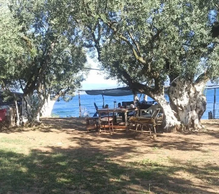 Turan Piknik Alanı Camping