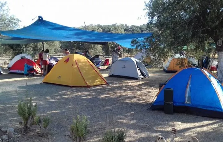 Üç Çınarlar Çadır Kampı