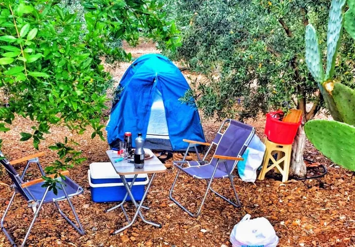 Zeytin Camping ve Apart Evleri