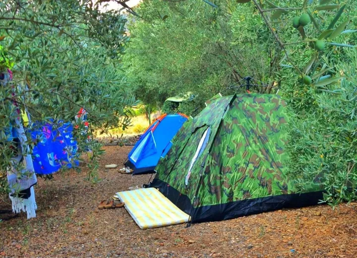 Zeytin Camping ve Apart Evleri