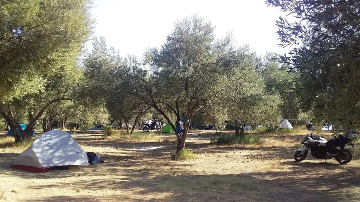 Zeytinlik Çadır Kamp ve Piknik Yeri